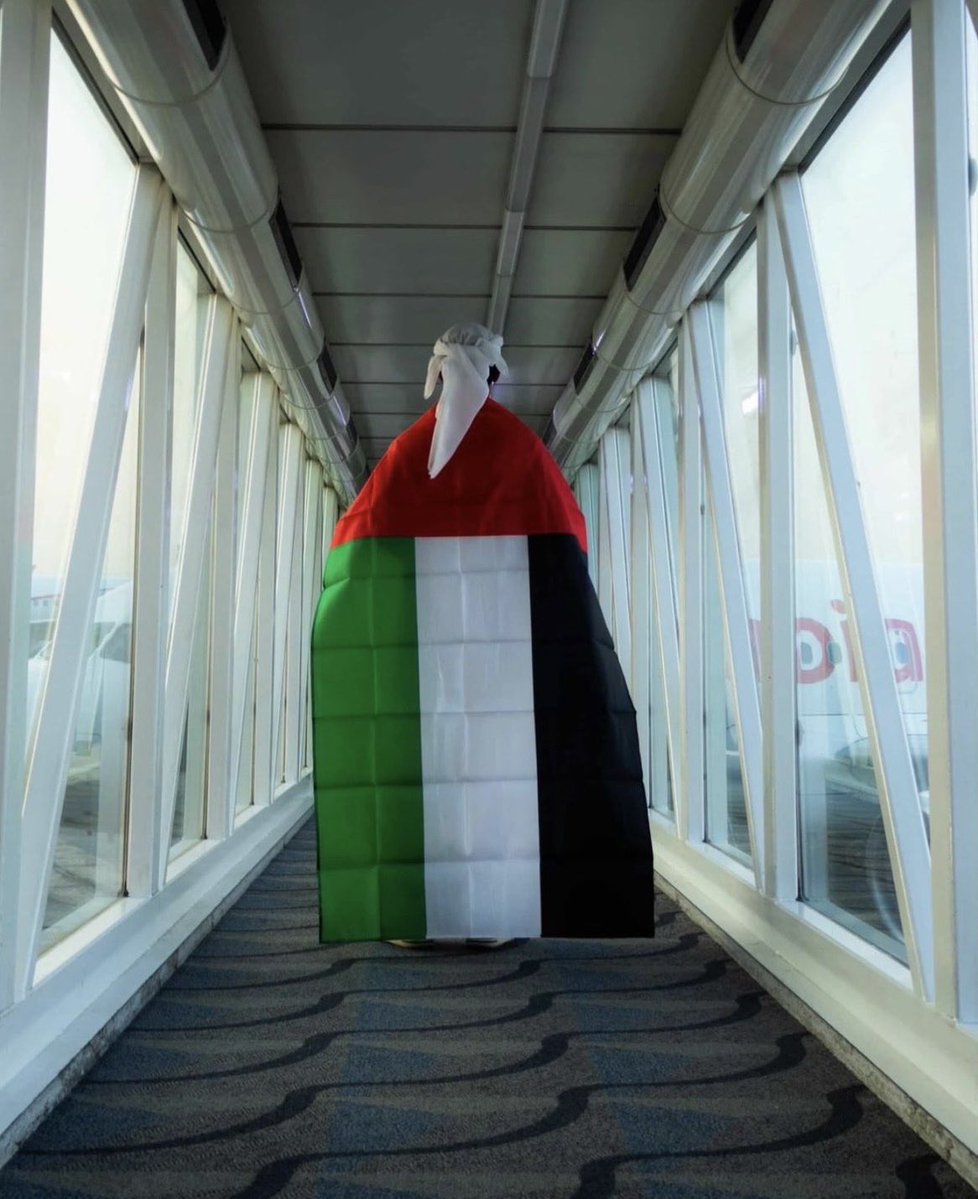 FarahAbdulHamed's tweet image. اليوم ما في رمادي.. الكل أبيض
في قلوبنا دعاء، أمنيات، وهتافات ،
من #الامارات  إلى الدوحة 🇦🇪
منصور  يا الأبيض  بإذن الله 🤍⚽️

 #حلم_وطن 
#منصور_يا_الأبيض