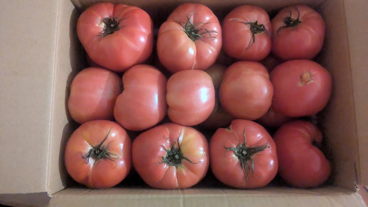 とまとなべページ とまとなべページ とまとなべページ トマトがたっぷり食べられる