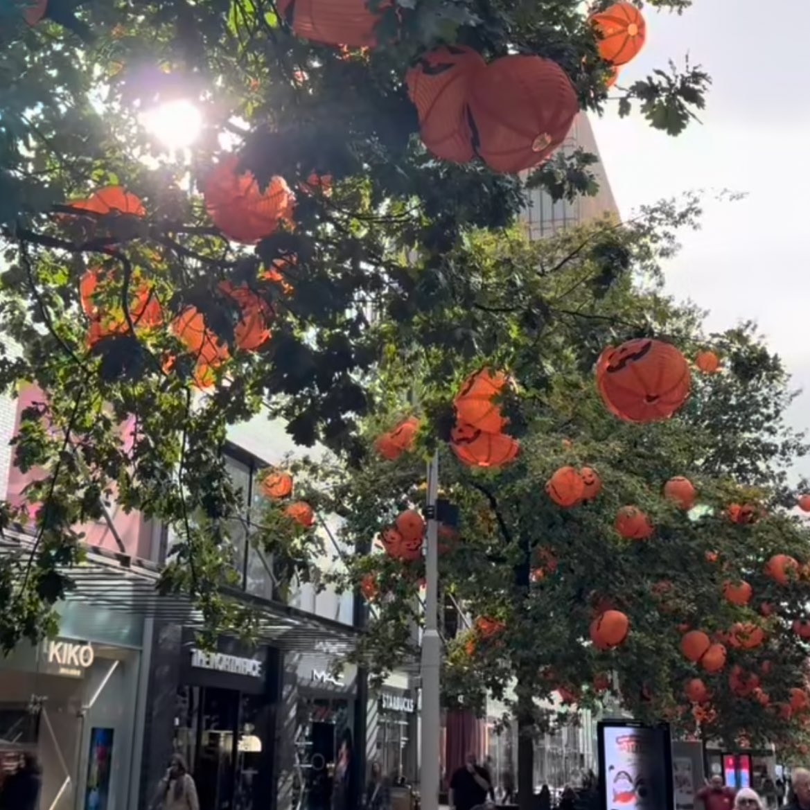 BASE Apartments tweet media