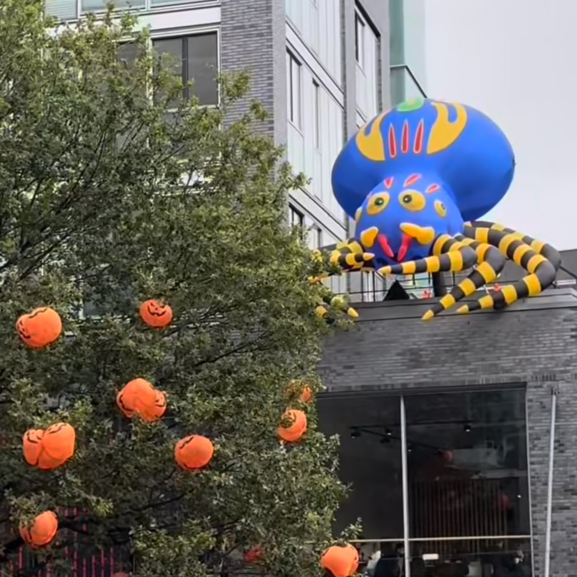 BASE Apartments tweet media