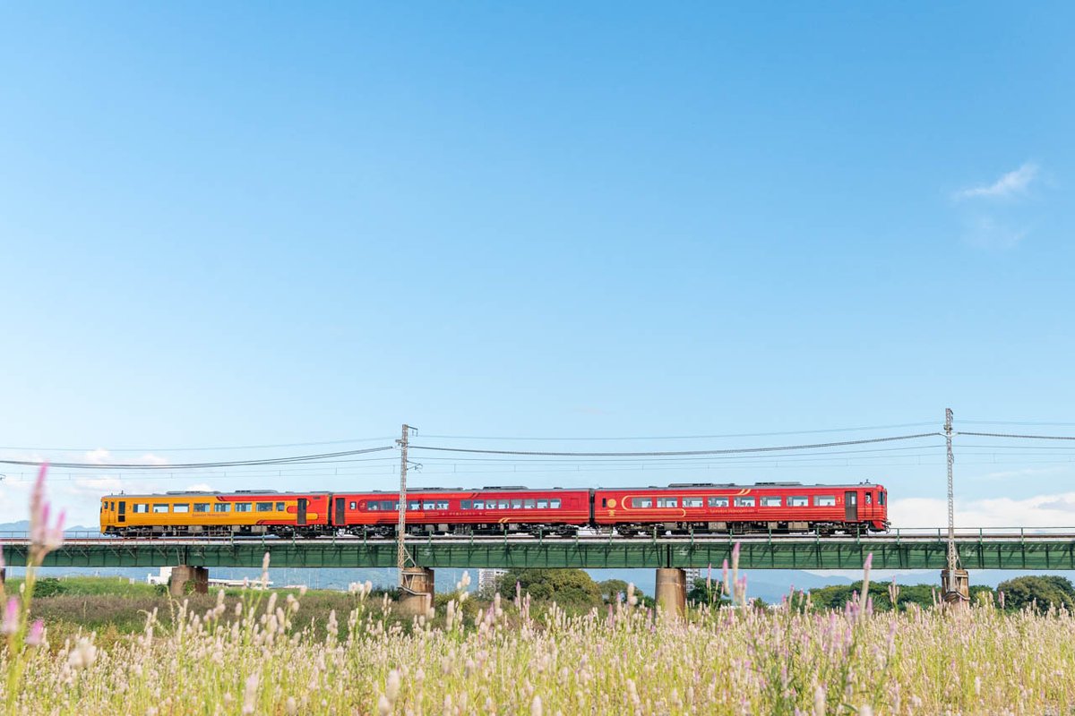 おだやかな秋の日

#伊予灘ものがたり
#予讃線