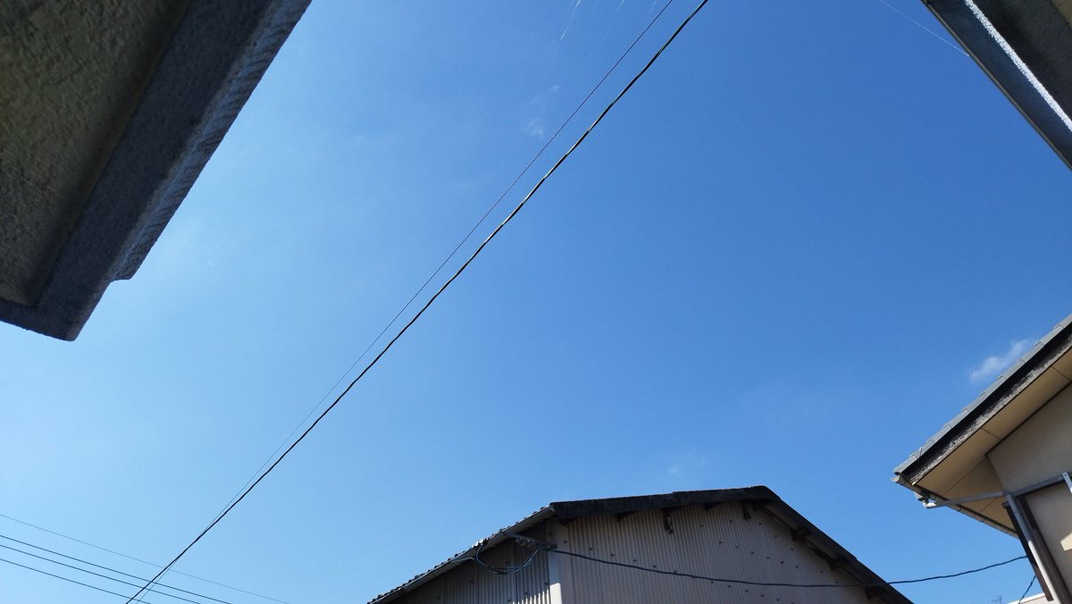 天高く馬肥ゆる秋。
いい天気なので今日も懲りずに釣り行ってきます。