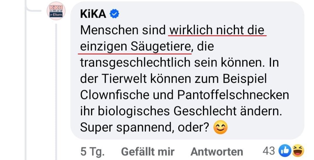 Super spannend, oder? 😊