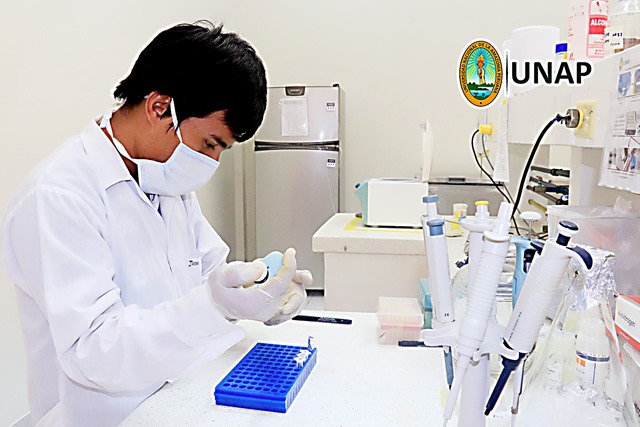 conperbruselas's tweet image. 🎉 ¡Felicitamos a la UNAP y sus investigadores!
El programa #VLIRUOS IUC inicia su fase de implementación tras 12 años de colaboración con instituciones flamencas. 🔬🌱
📍Evento inaugural en Bruselas: enero 2026
🎥 Conferencia  facebook.com/unaptv/videos/…