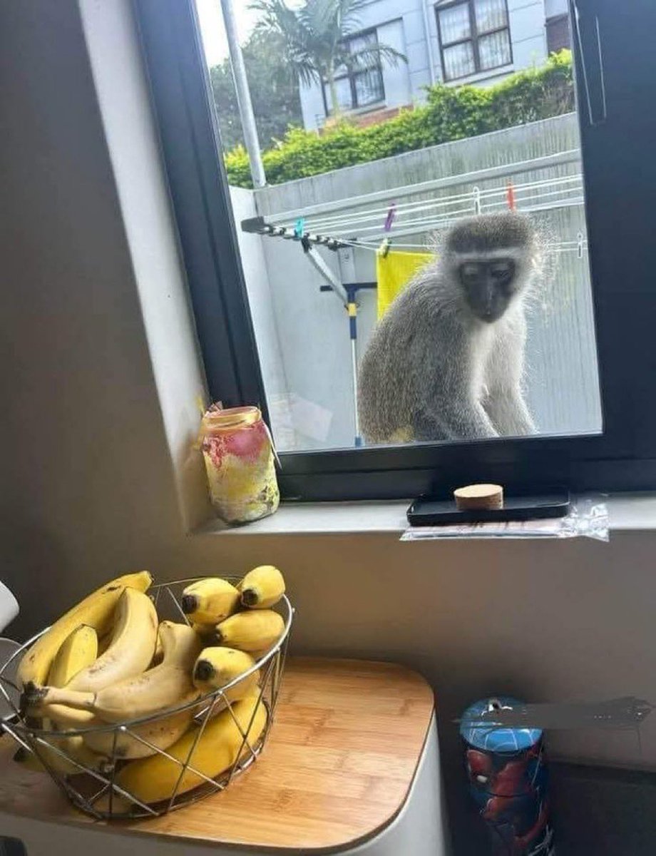 itsjami_e's tweet image. Online trading be like :