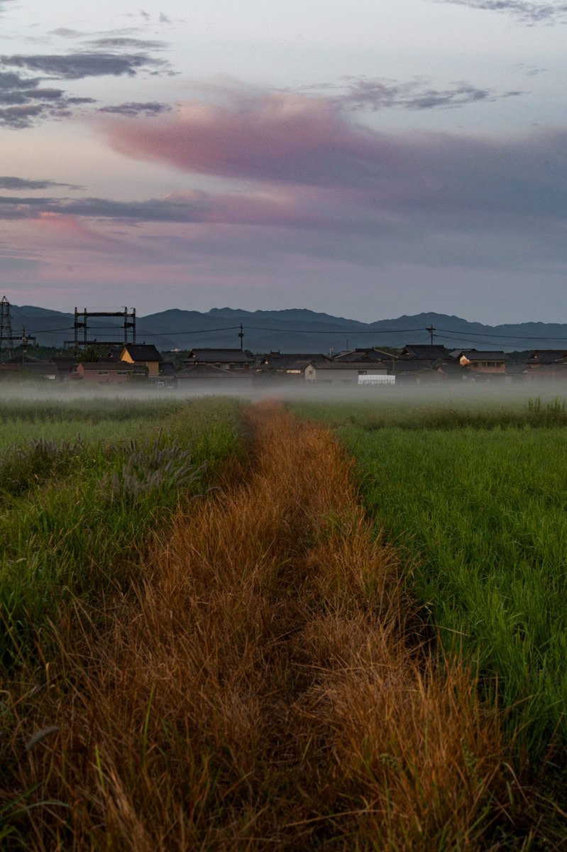 takemaru_nd's tweet image. 写真撮ってる時が一番落ち着く

#カメラマンさんと繋がりたい 
#カメラのある生活 
#写真で奏でる私の世界 
#想い出を切り取る 
#私の観ている世界
