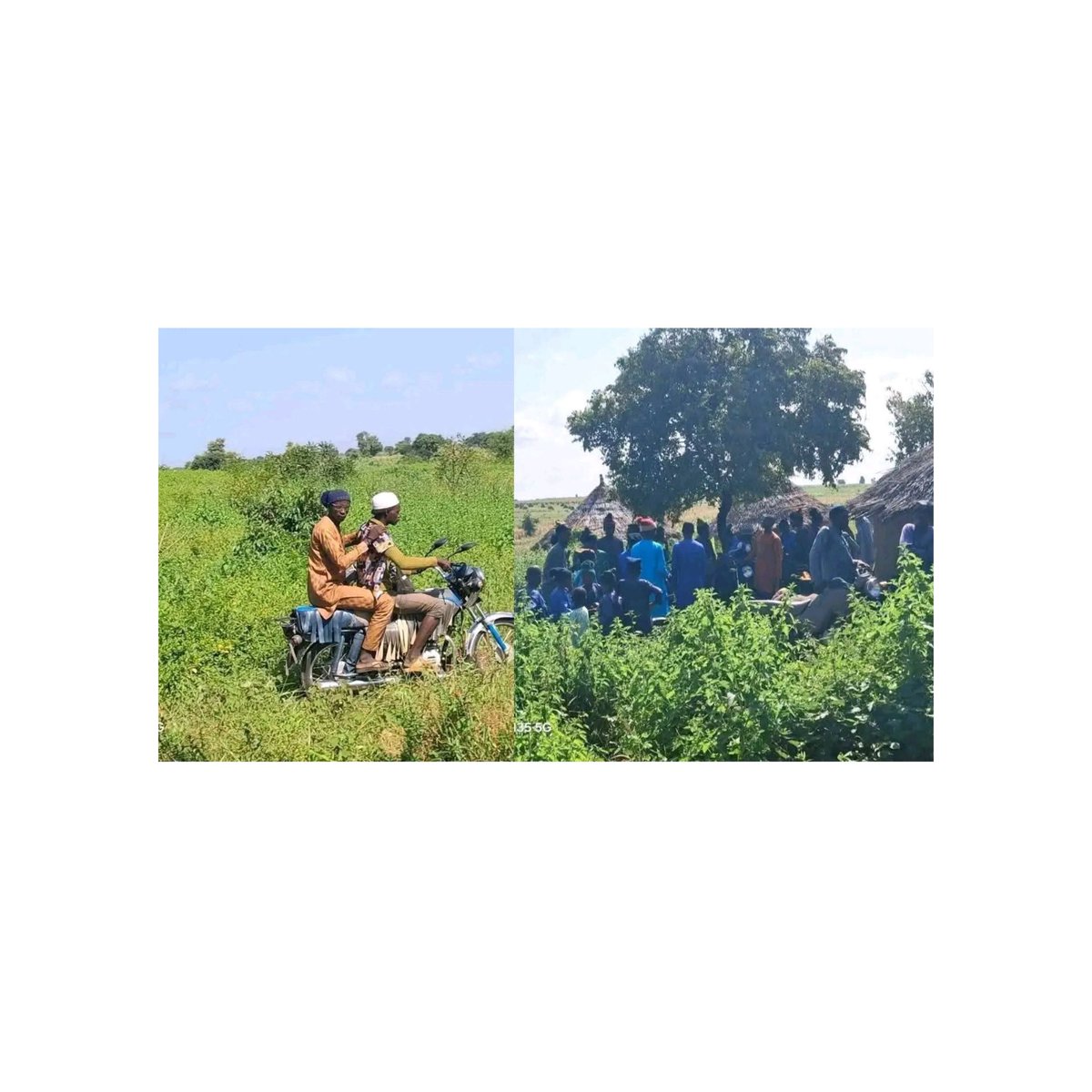 instablog9ja's tweet photo. Katsina LG Chairman Reportedly Attends Wedding of B@ndits’ Children Weeks After Peace Deal — Despite No We@pon Surrender

Weeks after a peace agreement between the Katsina State Government and armed b@ndit groups, the Chairman of Sabuwa Local Government Area, Engr. Sagir Tanimu, has come under scrutiny for attending the wedding ceremony of children belonging to some of the b@ndits.

The ceremony, which took place in Kadawan Dandume village, was reportedly part of the state’s ongoing reconciliation efforts with the bandits operating in the region. Tanimu, alongside other dignitaries including the Prince of Kogo Emirate, Alhaji Ibrahim Bello Kogo, and the District Head of Sabuwa, joined Fulani residents in the forest to mark the occasion.

However, critics have expressed concern over the gesture, noting that despite the peace pact, the armed groups have yet to renounce their crim+nal activities or surrender their we@pons. Locals insist that genuine peace can only be achieved when the b@ndits formally dis@rm and abandon vi%lence.