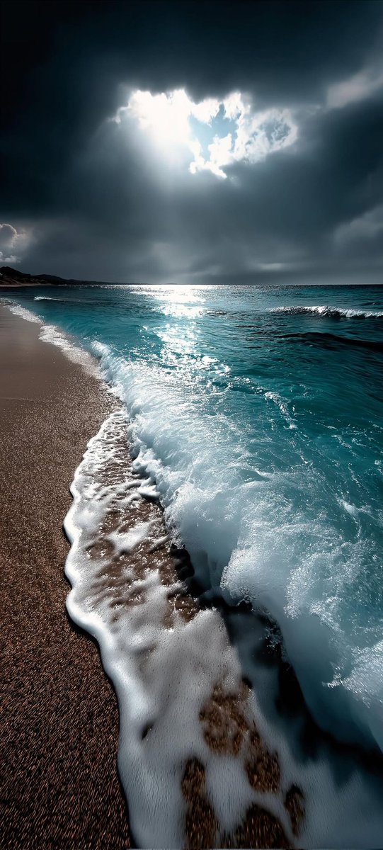 ocean (@hawsett4) on Twitter photo 