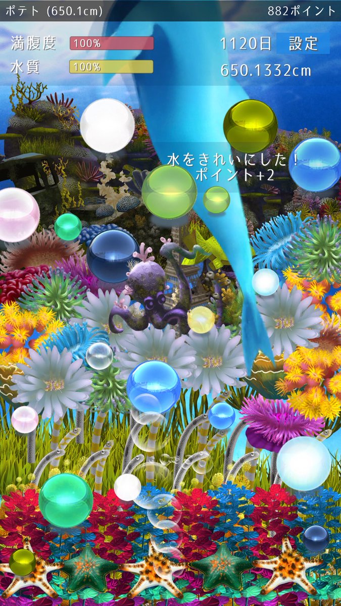 tomato___321's tweet photo. ポテトが650.13cmに成長しました。#イルカ育成 https://t.co/11KAWxMET2 https://t.co/HhxYnQ8pV5