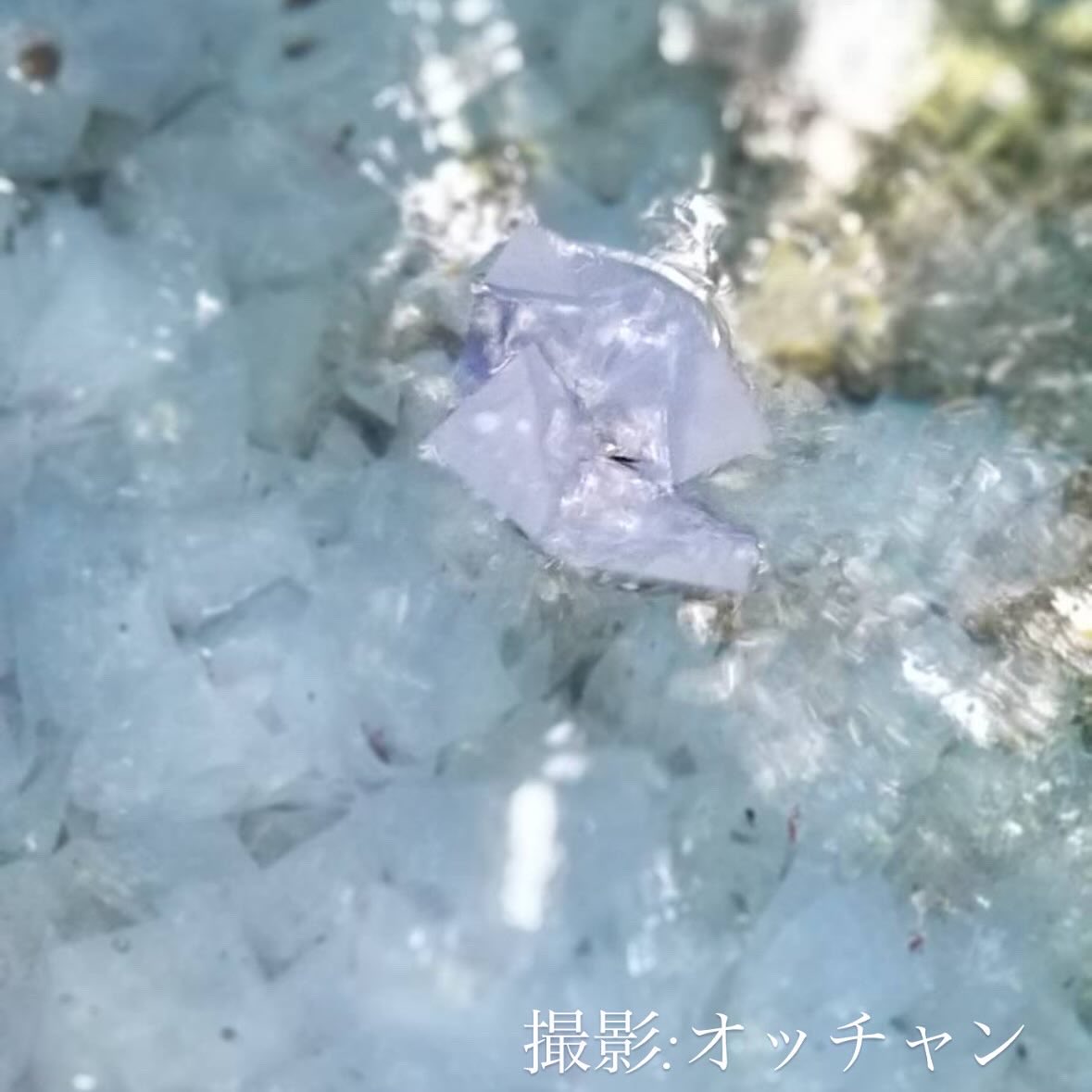 yuzuru_kurenai's tweet photo. .

勝田のオッチャンをお見かけになられましたら、あなたにもきっといいことが沢山降り注ぎます♡♡♡これ、本当だと思ってる。

帰る時、空港までオッチャンが車で送ってくれた。
オッチャンは
「飛行機の窓から見た時、ここに車とめとるけぇ。みちょってよ。」と言い、私たちは飛行機の中からオッチャンを探した。
すると思いっきり両手を上に上げて手を振ってくれるオッチャンを見た私たち親子は飛行機の中で感動のあまり大号泣した。
こんな素敵なオッチャンに出会えたこと、
出雲のご縁の神様、本当にありがとうございます！！！

母との写真はオッチャンが撮ってくれました♡
ありがとうね、オッチャン♡
またすぐに会いに行くよ♡

ワンワンより

飛行機の中で大号泣した後、CAさんからファ��レターを頂くというオキつき。
でもCAさん、ありがとう♡

#勝田のオッチャン
#島根
#出雲
#親子旅
#紅ゆずる

写真は
#八重垣神社
#鏡の池
撮影はオッチャン