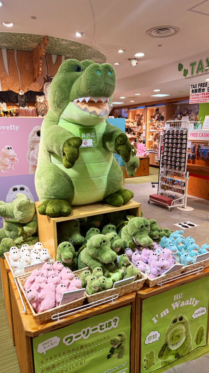 ワーリー ぬいぐるみ セット 61RDNI10p1L._UF350,350_QL50_.jpg