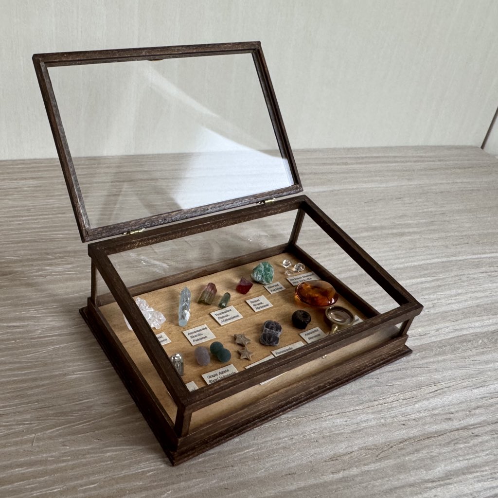 rupeshan06's tweet photo. アンティーク風なミニチュアのコレクションケースをつくりました💎
ミニサイズの鉱物と化石も本物です。
来週、中身も合わせて販売予定です。
#ミニチュア　#鉱物　#アンティーク　#miniature https://t.co/EaAnMe3MtJ