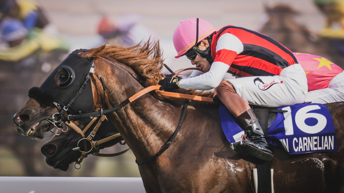 スプリンターズS