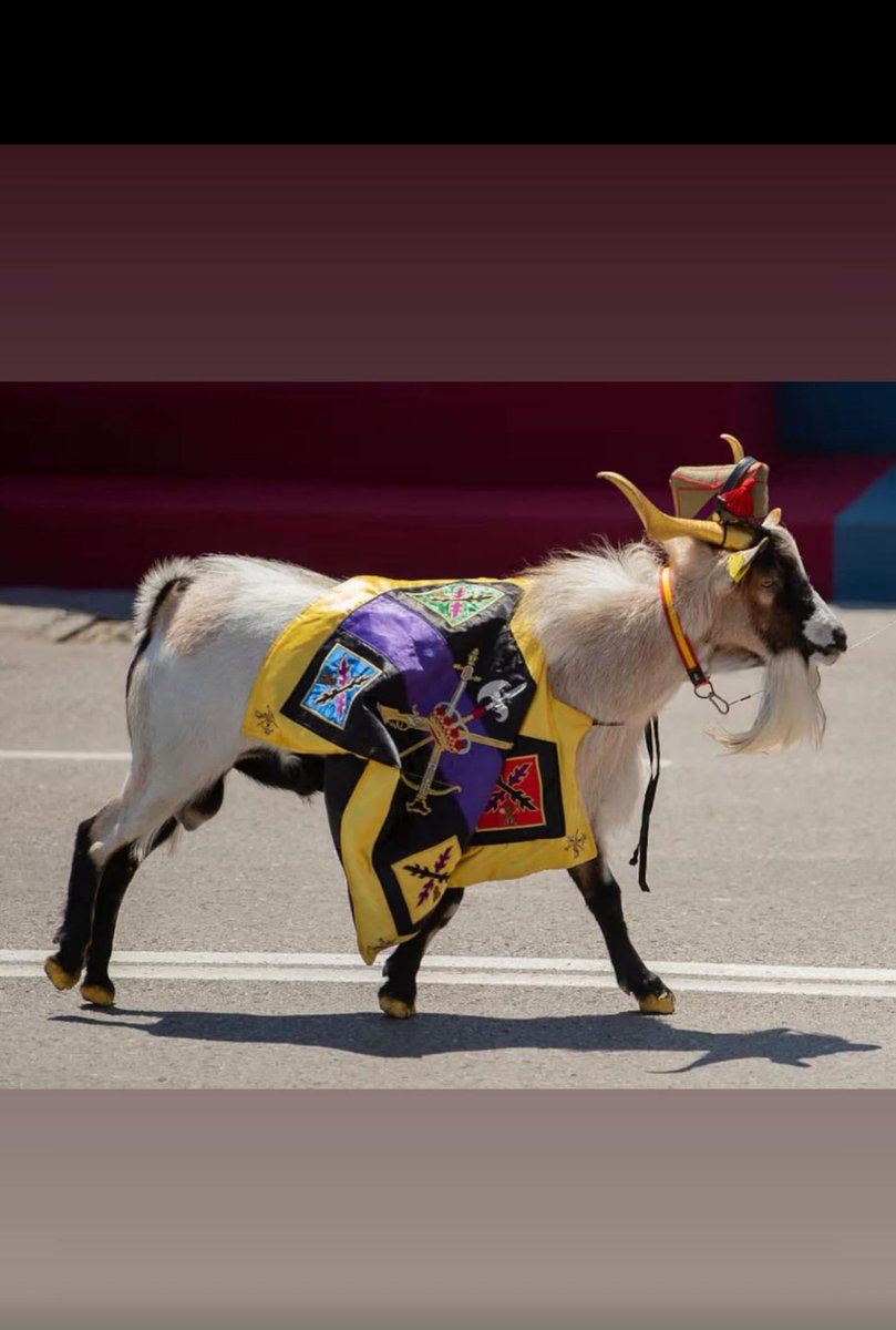 Mejor mantener a una cabra que a tantos cabrones…