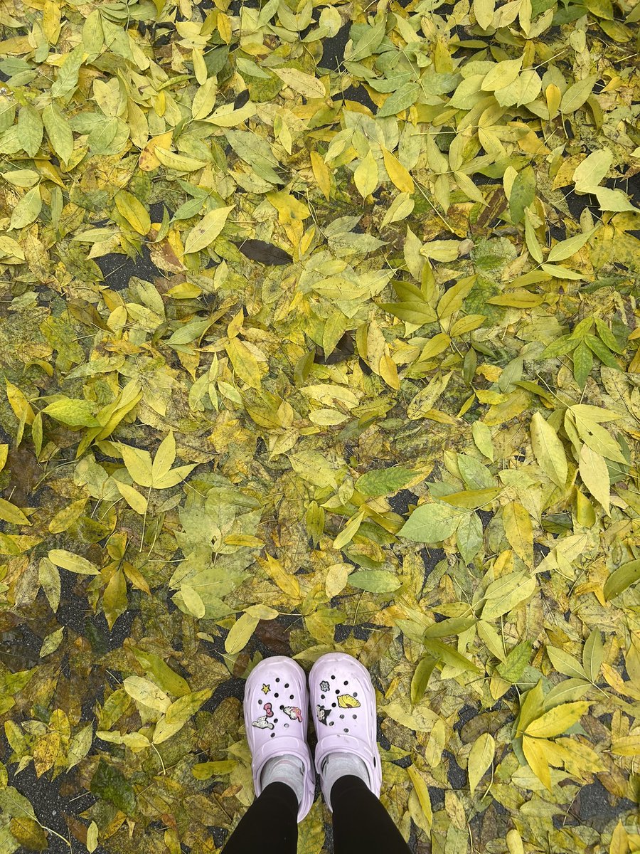 ходити по калюжам - ахуєнно!