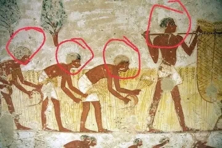 Joe__Bassey's tweet photo. Egyptologist tried to remove the Afros, but we know the truth that Ancient Egypt was purely African… https://t.co/zRDC6YWt7Y