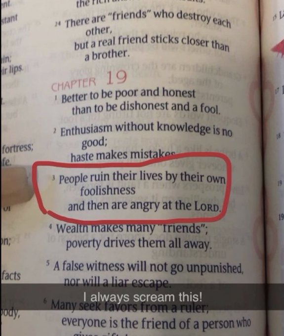 Bible 365 (@bible365_) on Twitter photo 