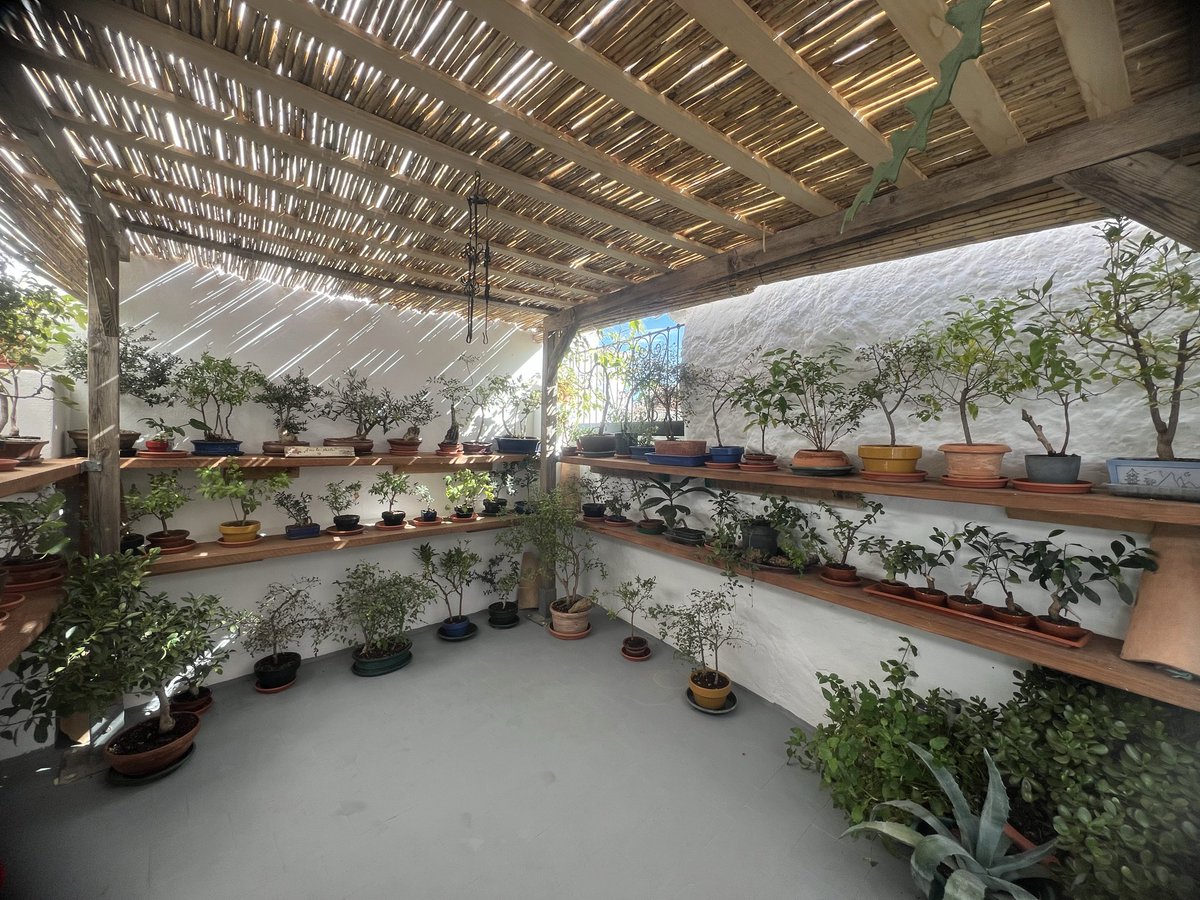 🌿🇪🇺 #Casarabonela amplía su oferta cultural con la apertura de la “Casa Museo, Charo Galvín”, inauguración a la que estamos asistiendo hoy junto con <a href="/CULTURA_BONELA/">AYTO CASARABONELA</a>.
👏🏻 Enhorabuena por la iniciativa y por apostar por la cultura.