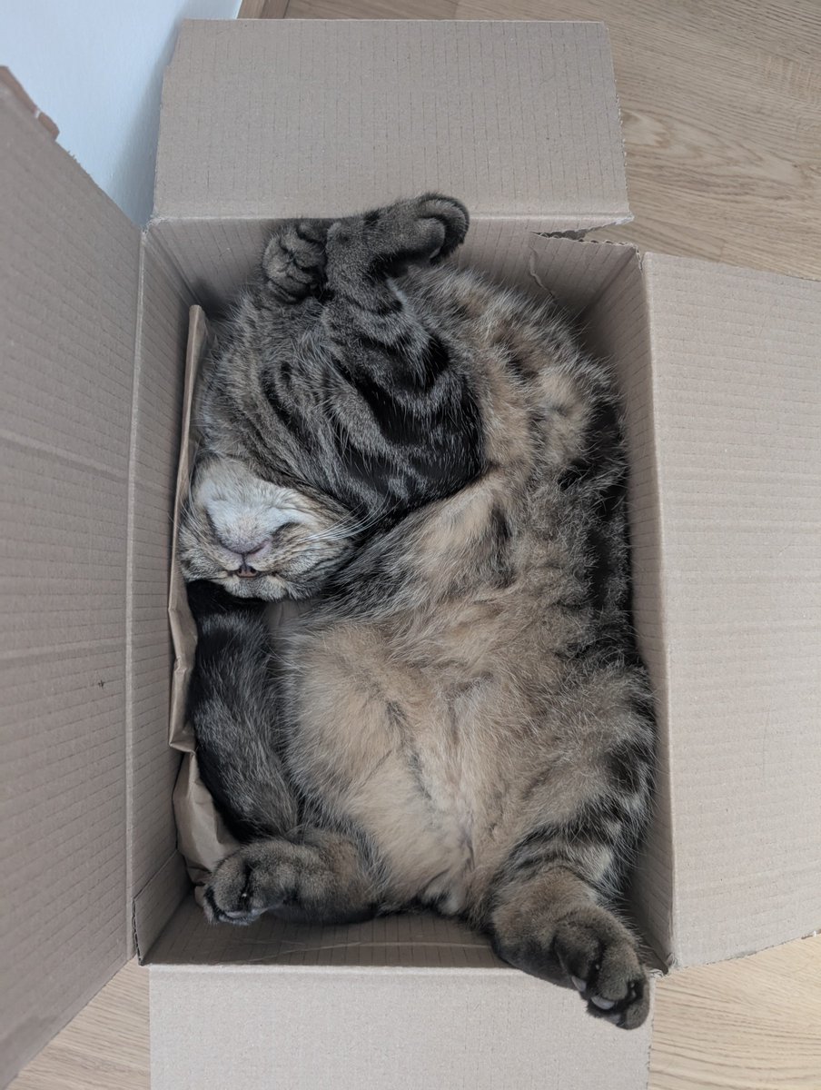 manchmal kann man gar nicht hingucken......🙈🙈🙈