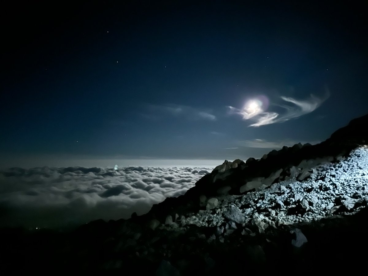 ✨Loki ✨ 🔜 🌍🇹🇿 tweet media