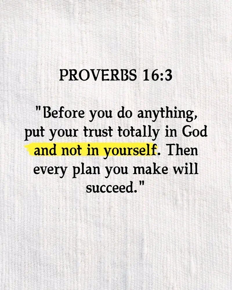 Giancarlo Mulinelli tweet media