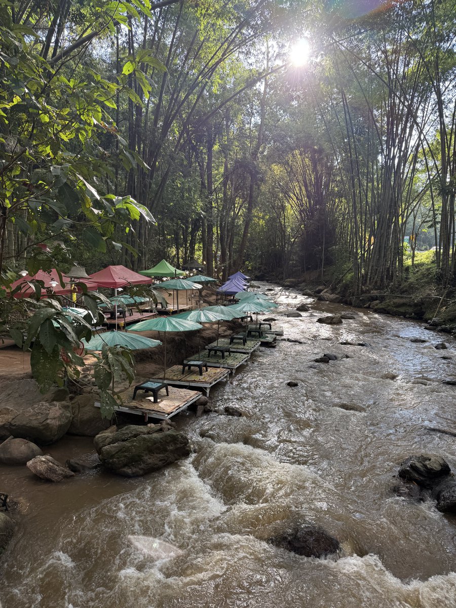 junglefunk tweet media