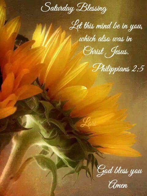 angie_anson's tweet image. Have a beautiful blessed Saturday my fellow America First Patriots.💛