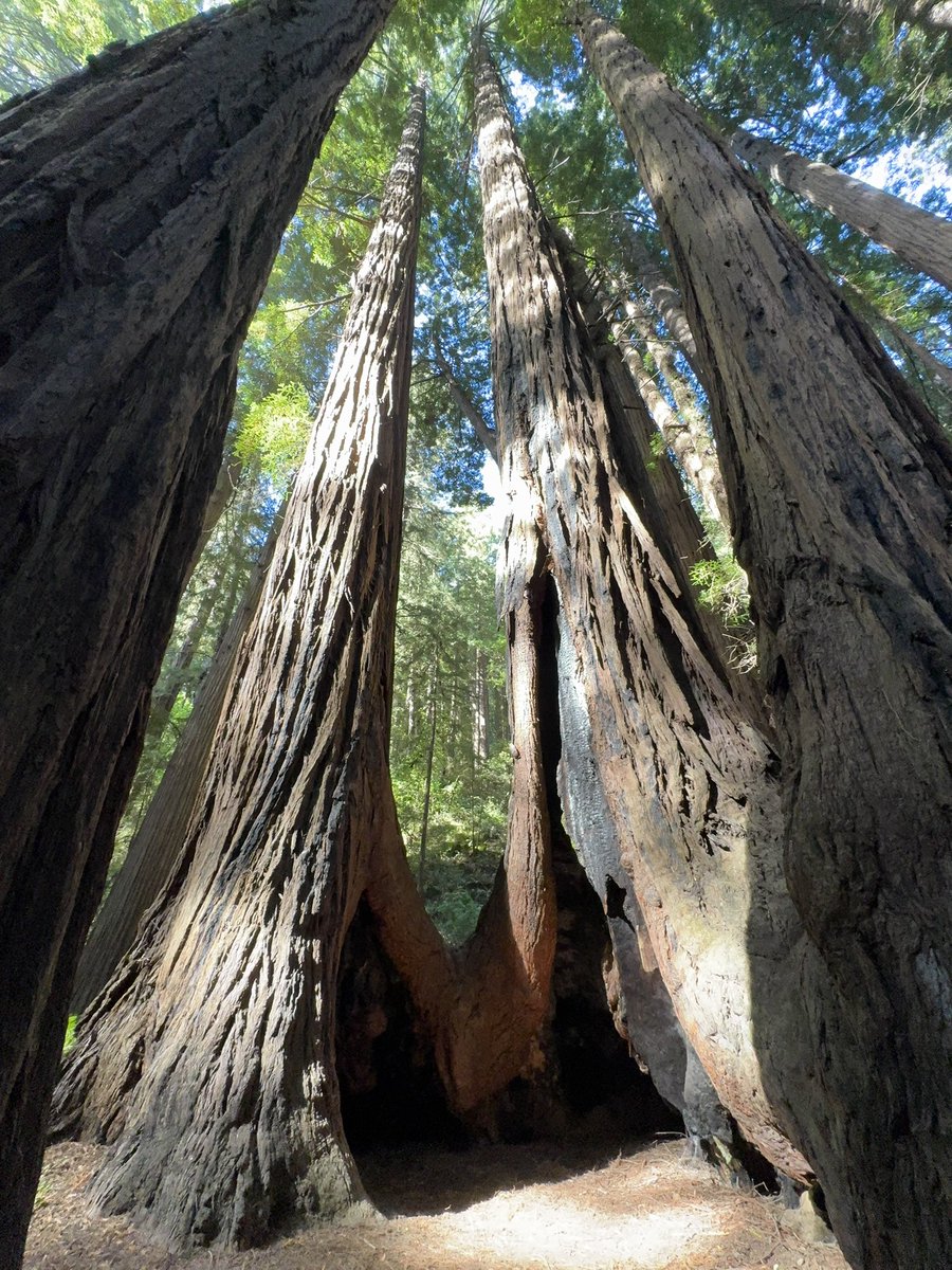 amypali's tweet photo. @earthcurated @CrispeThe https://t.co/0iVSlHmqhh