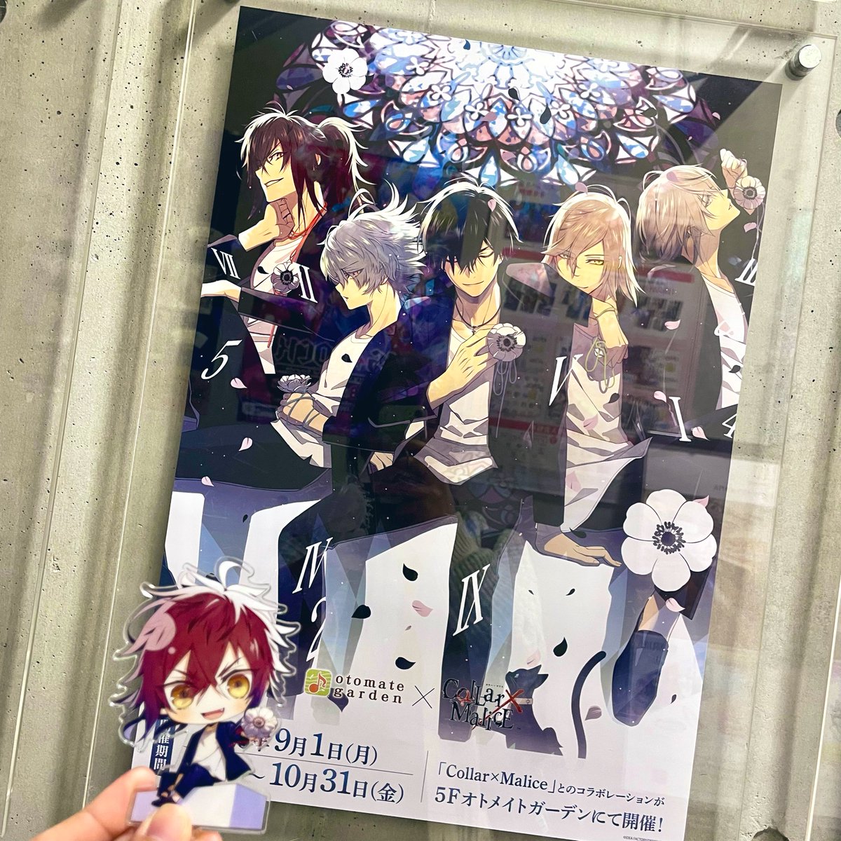 カラマリ オトメイトガーデン オトガ コースター 後半 白石景之 10点