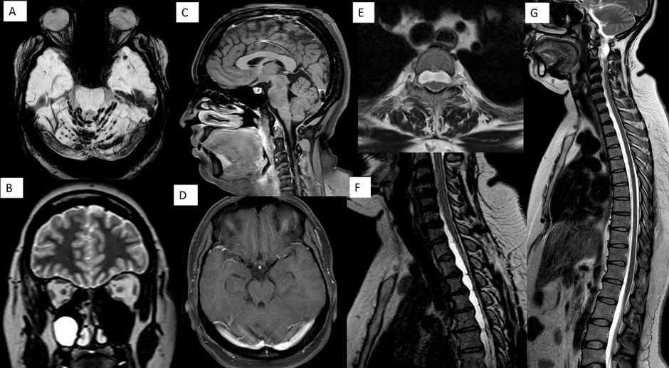 Sabha Ahmed tweet media
