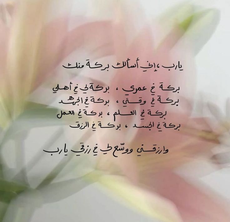 IBestIB's tweet image. 