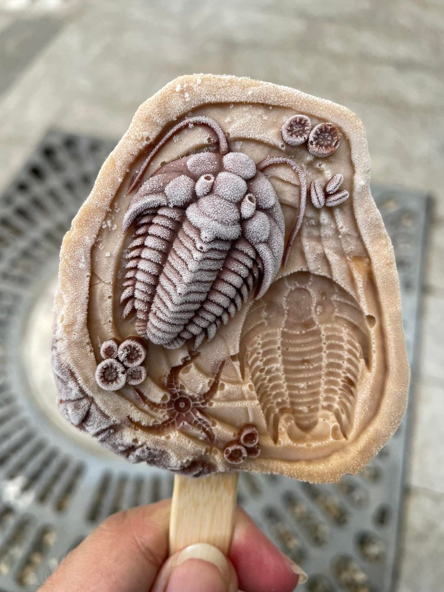 TMtheEQplusNerd's tweet image. Trilobite ice cream sold at Thainosaur exhibition