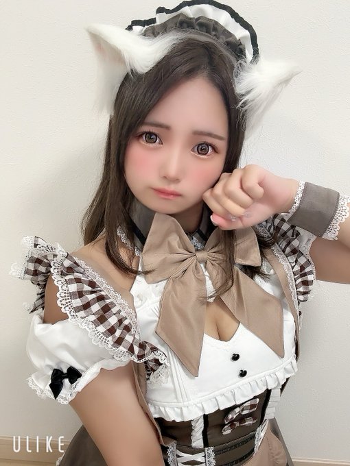 池猫 ~池袋の猫たち~のツイート