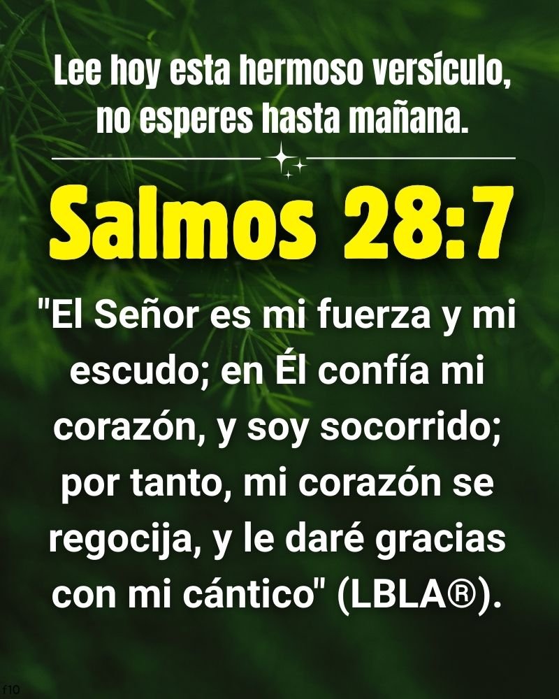 Emmav998's tweet photo. ✝️❤️sHoy deja que tu corazón se renueve en el Señor;
quien confía en Él, encuentra fuerza y alegría en Su presencia.
¿Dices amén? 🙏 https://t.co/RlFd3suadh