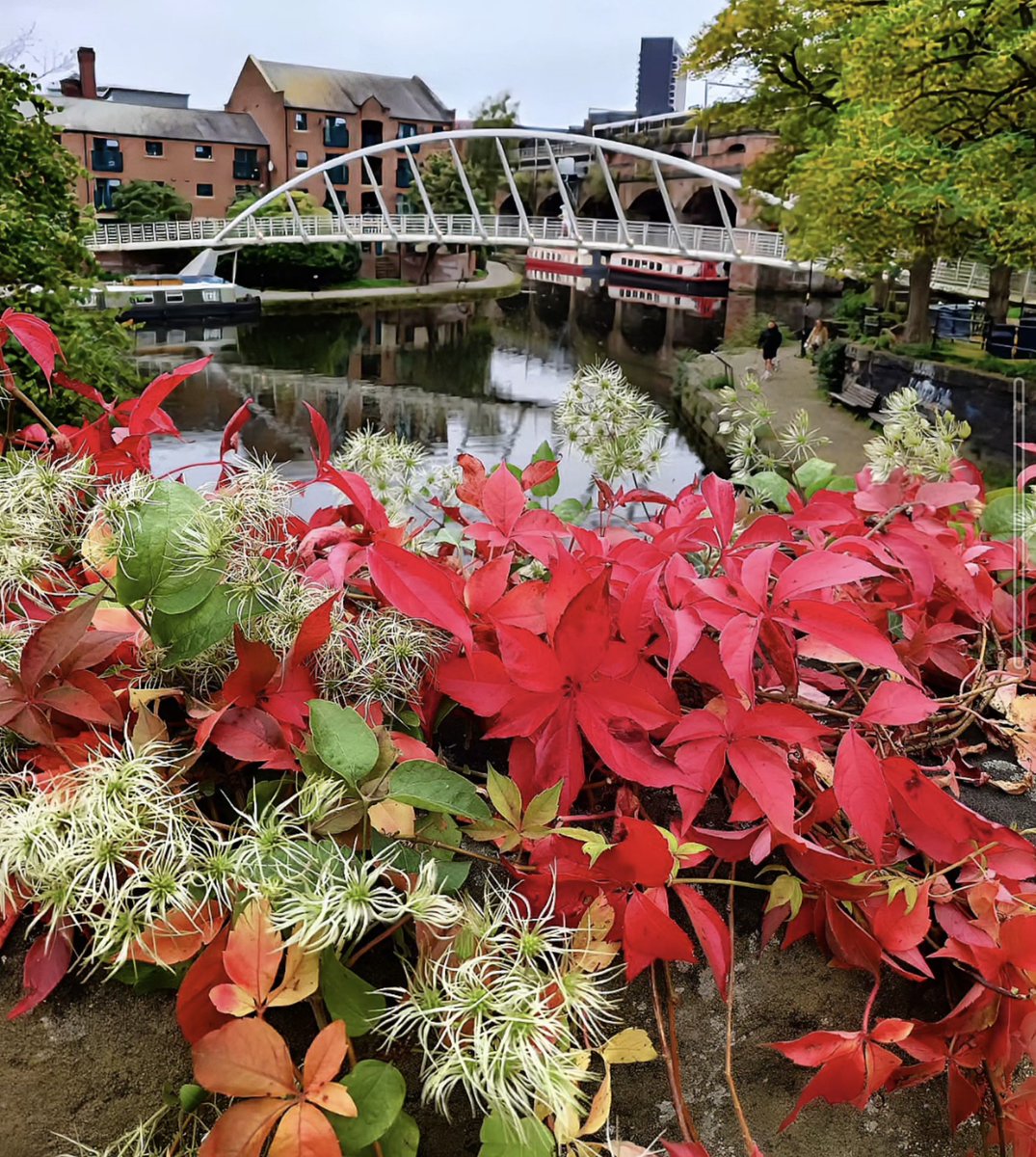 MonicaCrimmins's tweet image. So many beautiful colours this time of year 🍂 Castlefield #Manchester