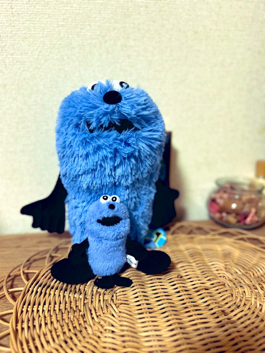 スンスンとスンスン💙ふぁ〜かわいいねぇ〜
#スンスン　#パペットスンスン