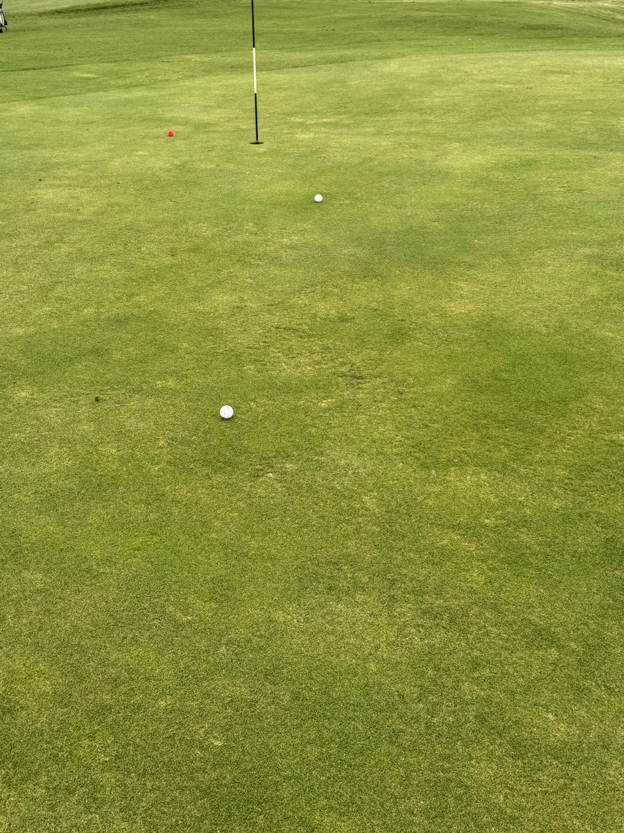 William Lyle ⚽ tweet media