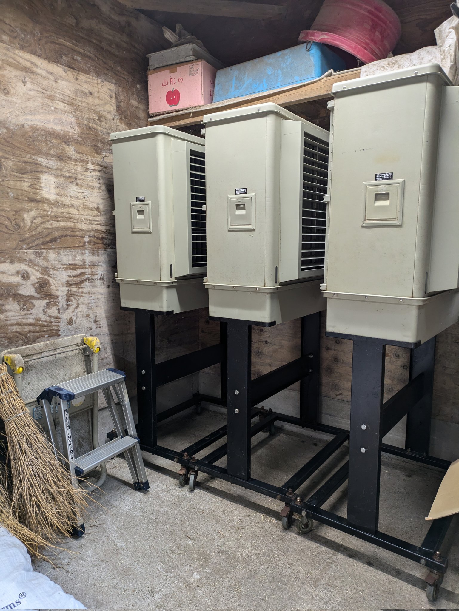 日本産土壌動物 2巻セット 日本産土壌動物 2巻セット