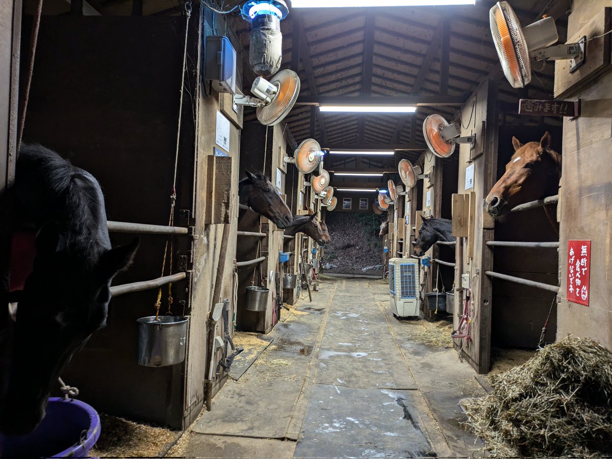 牧場主 LDRSP85N-110BS｜LED照明｜法人のお客様｜アイリスオーヤマ