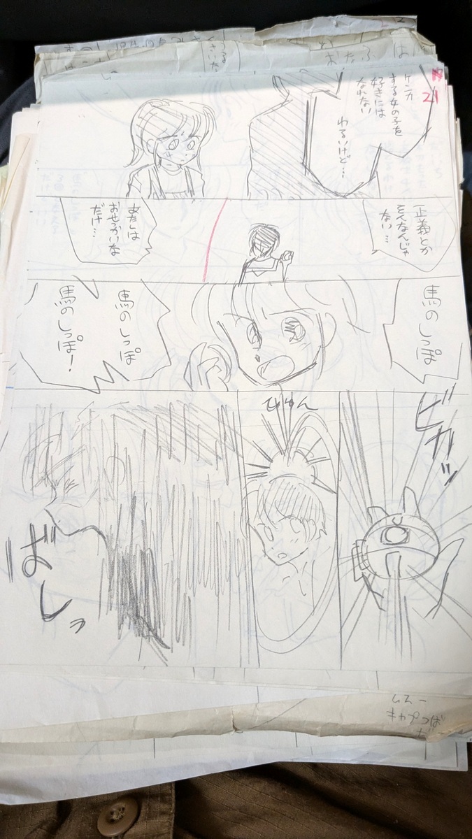 mochiru_h's tweet image. かくてるとかハーフのボツネームとか。