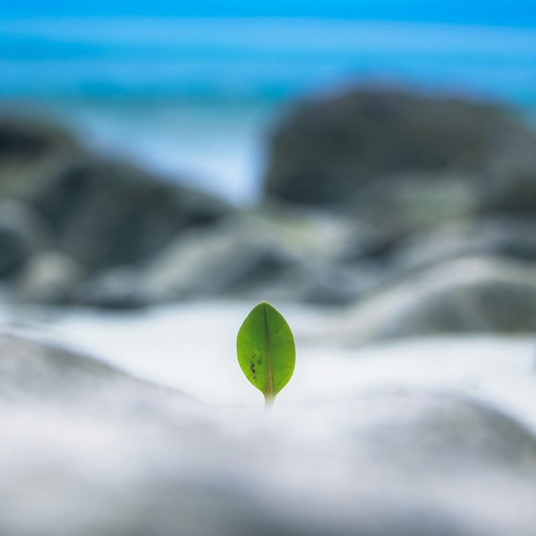 Mercurius Vermogensbeheer | Licht aan het eind van de tunnel? - mailchi.mp/mercuriusvermo…