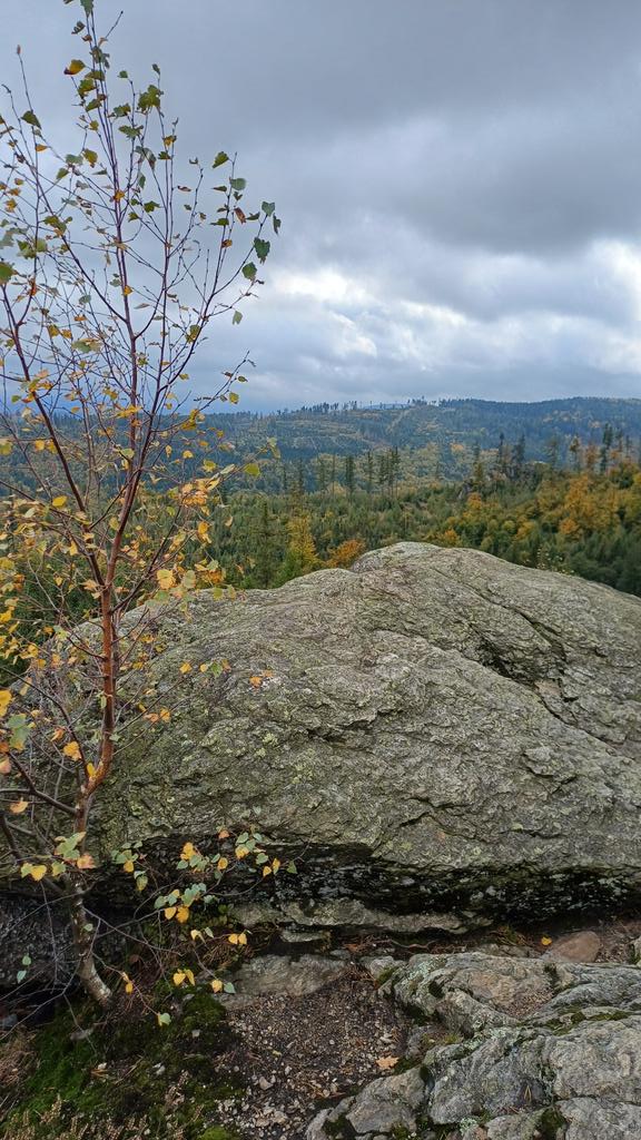 RadegDostal's tweet photo. Vysoký kámen - barevný podzim v zapomenutém, ale krásném kraji Rychlebských hor 🍂 https://t.co/rIsqta8Uf4