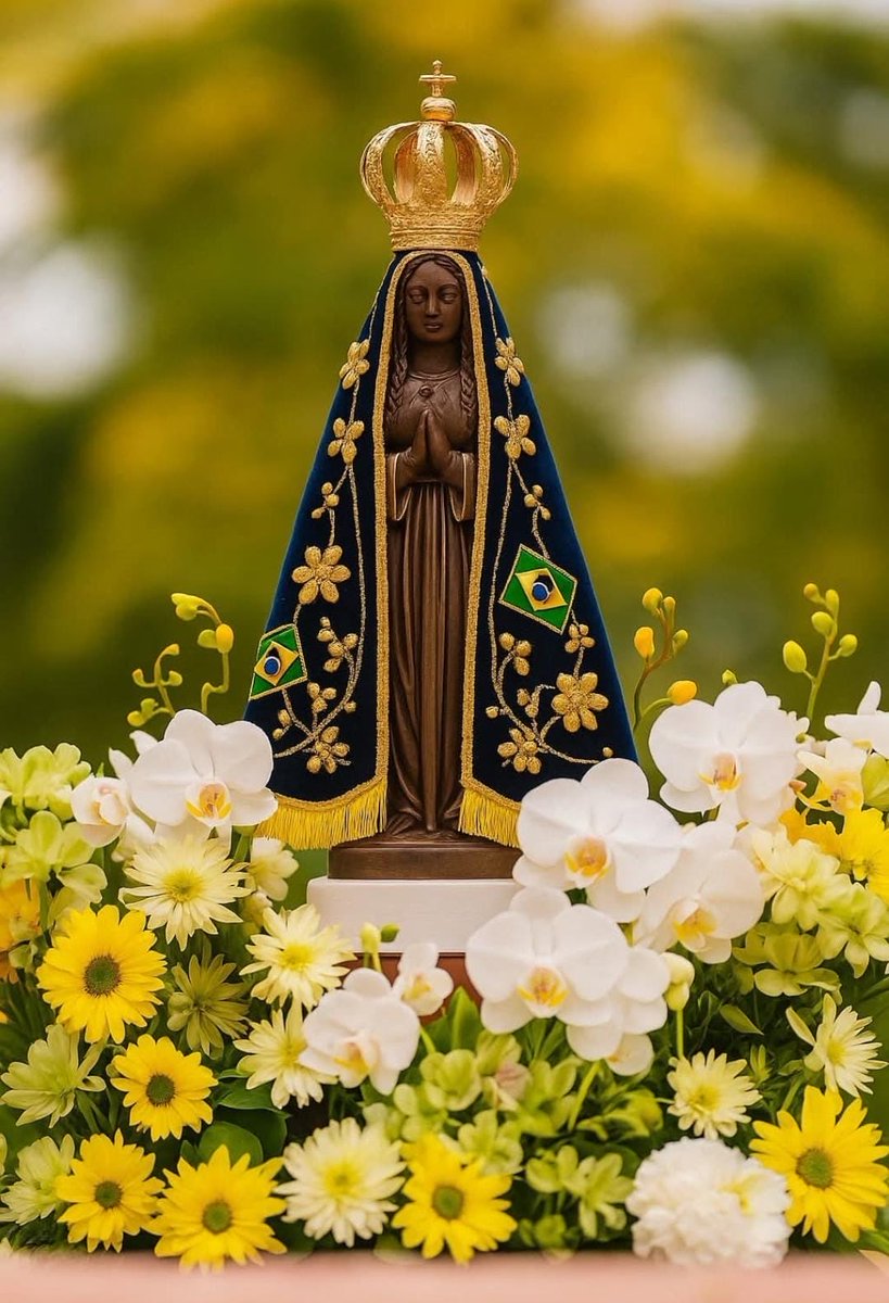 Pehenriquesds's tweet image. Ó sol sem mácula,Virgem Maria.
Dou graças e admiro a suma bondade da Santíssima Trindade, que Vos enriqueceu com tal privilégio.Ah! Senhora, fazei que eu corresponda à graça divina, e não torne a abusar dela; mudai-me o coração, e fazei que desde agora comece o meu arrependimento