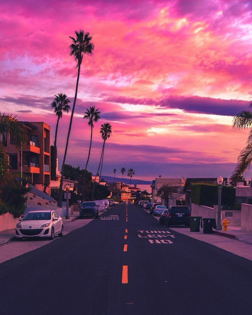 WildscapeWonder's tweet image. Los Angeles, California 🇺🇸