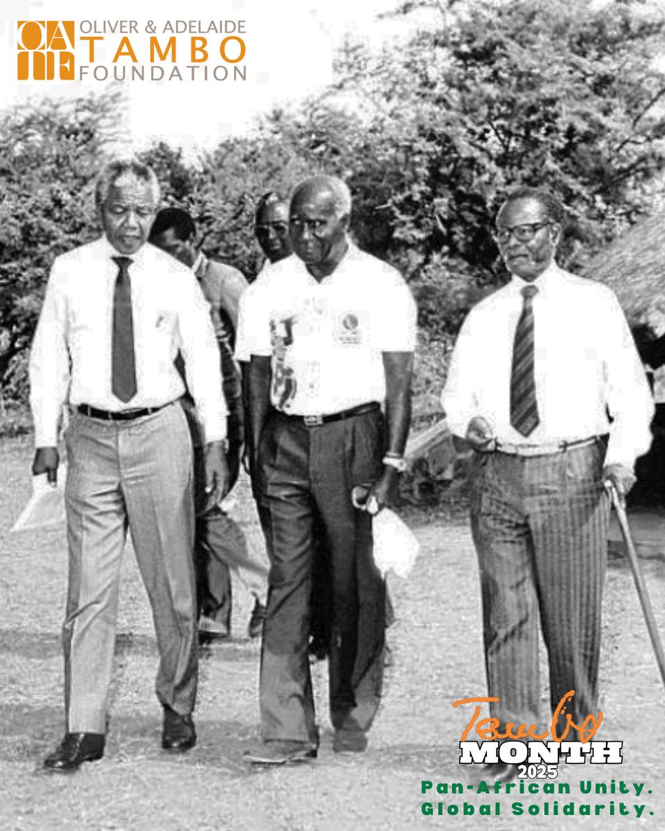 Tambo Foundation tweet media