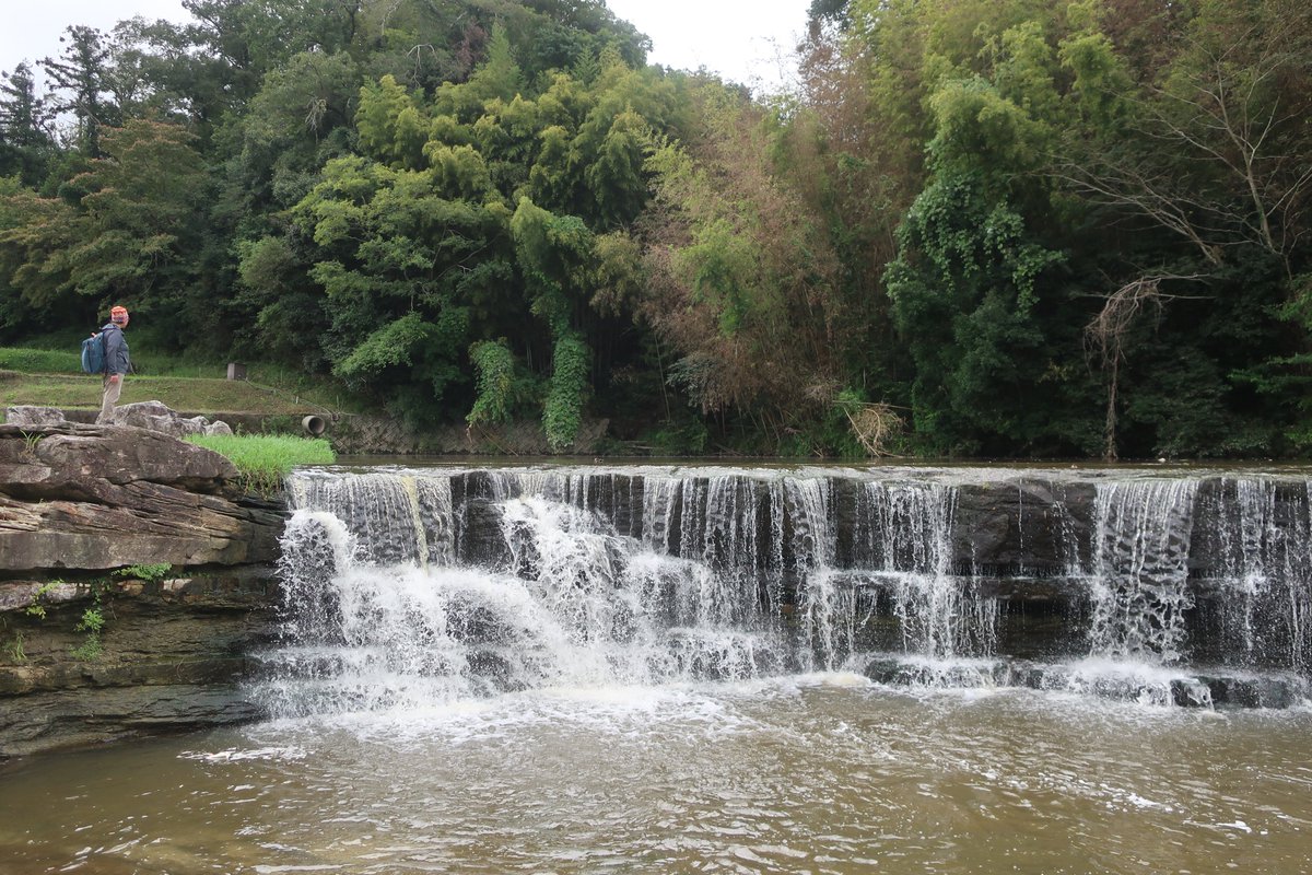 連載第239回目（2025.10.7.掲載）でご紹介したのは、兵庫県の三木市立吉川図書館です。美しい棚田が点在する吉川地区、すばらしい濃厚炭酸泉の温泉併設の道の駅や知る人ぞ知る名瀑の「黒滝」があります。図書館もすごくきれいで落ち着くいい感じの館でした。 #図書館 #旅行 #農村 #滝 #三木市 #兵庫県