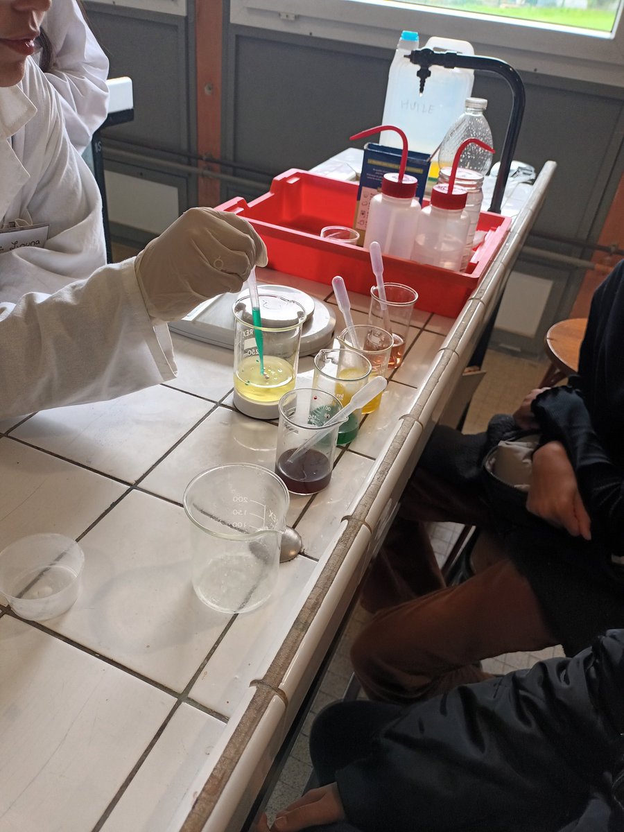 Fête de la science pour les élèves de 6ème du collège.