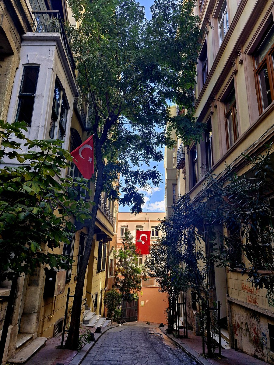 ebraarby's tweet photo. Turks and their flag obsession https://t.co/sffHZqyTeD