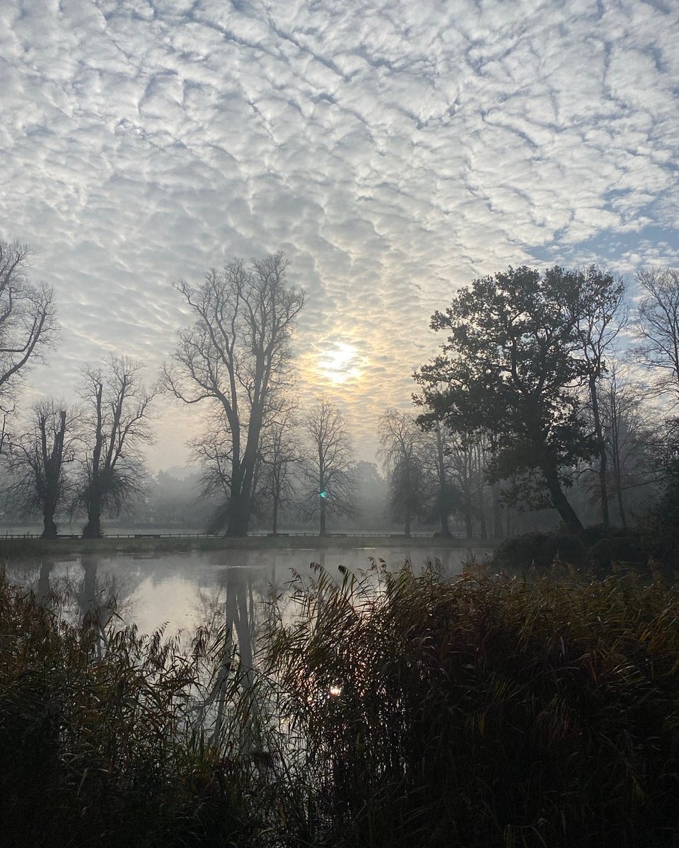 cspencer1508's tweet image. Every now and then, even a total amateur like me is in the right place at the right time. Five years ago, I was walking the dogs by the water’s edge at ⁦@AlthorpHouse⁩ with my iPhone - and realised that the light, the cloud, and the moment were just incredibly special.