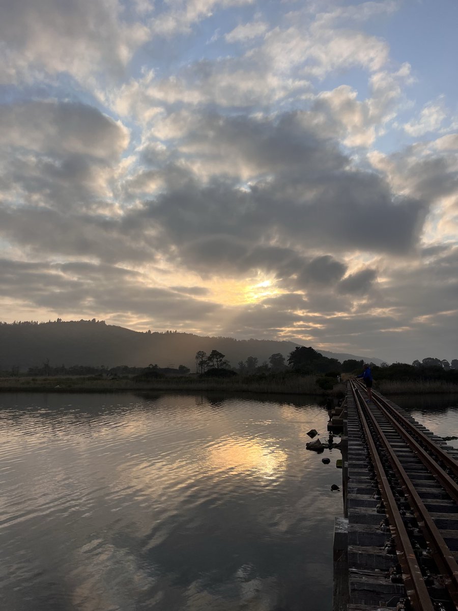 Grey Heron, Pied Kingfisher, Malachite Kingfisher and the sunrise over the bridge